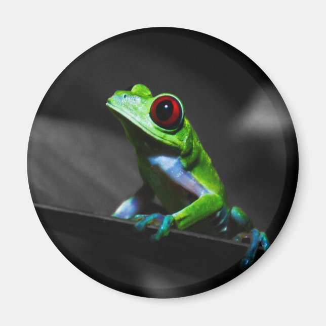 Red Eyed Tree Frog III Magnet (Front)
