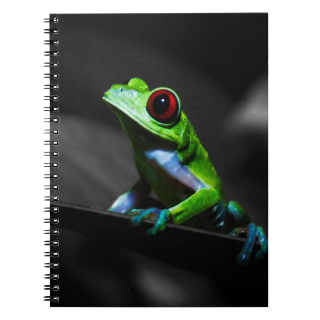 Red Eyed Tree Frog III Notebook (Front)
