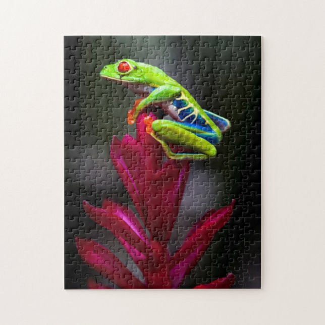 Red-eyed Tree Frog Jigsaw Puzzle (Vertical)