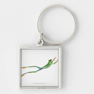 Red eyed tree frog jumping key ring