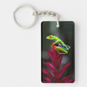 Red-eyed Tree Frog Key Ring