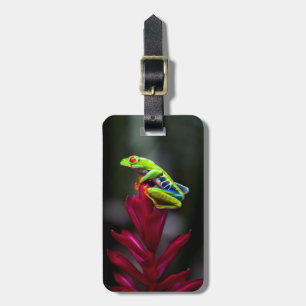 Red-eyed Tree Frog Luggage Tag