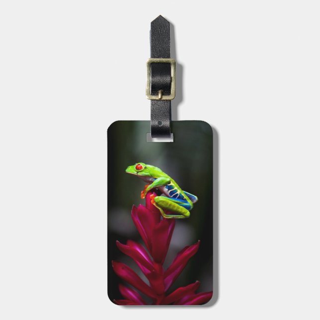 Red-eyed Tree Frog Luggage Tag (Front Vertical)