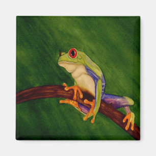 Red Eyed Tree Frog Magnet