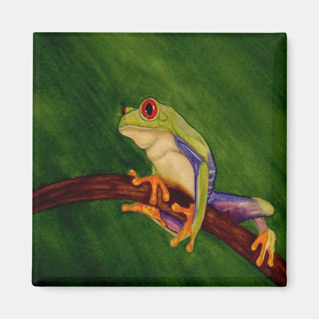 Red Eyed Tree Frog Magnet (Front)