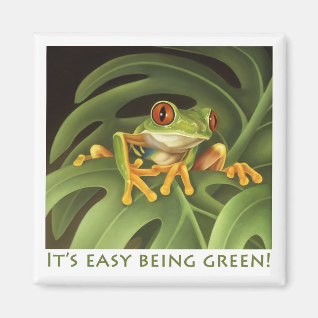 Red Eyed Tree Frog Magnet (Front)