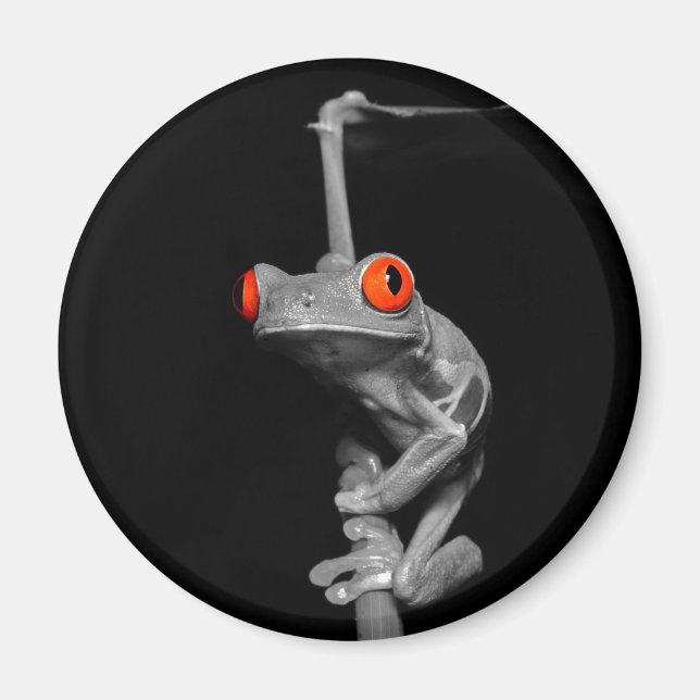 Red Eyed Tree Frog Magnet (Front)