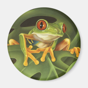 Red Eyed Tree Frog Magnet