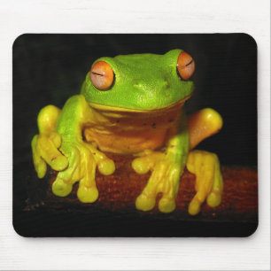 Red Eyed Tree Frog Mouse Mat