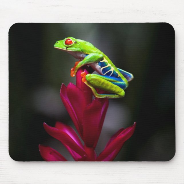 Red-eyed Tree Frog Mouse Mat (Front)