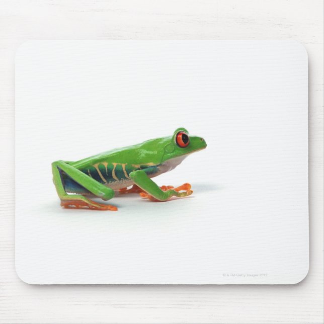 Red eyed tree frog mouse mat (Front)
