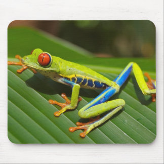 Red Eyed Tree Frog Mousepad