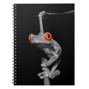 Red Eyed Tree Frog Notebook