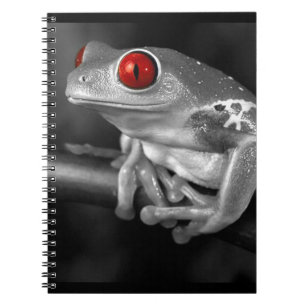 Red Eyed Tree Frog Notebook