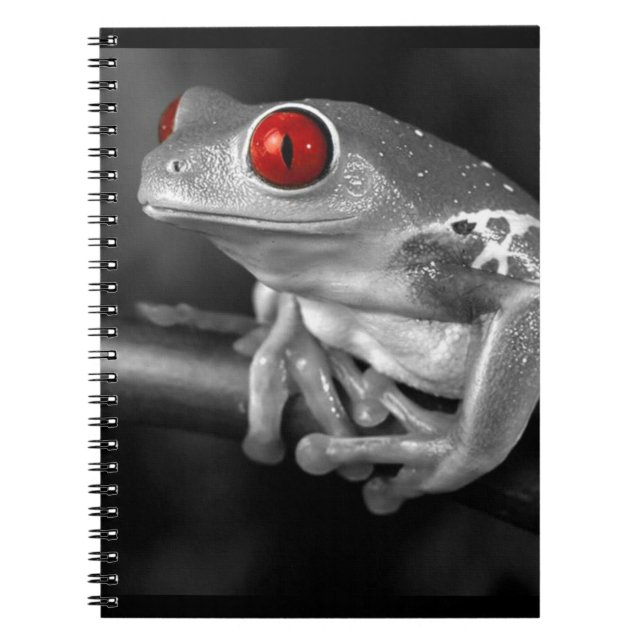 Red Eyed Tree Frog Notebook (Front)