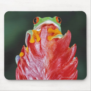 Red-Eyed Tree Frog on Leaf Mouse Mat