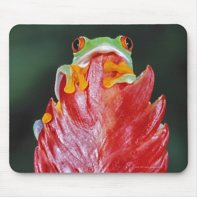 Red-Eyed Tree Frog on Leaf Mouse Mat (Front)