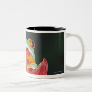Red-Eyed Tree Frog on Leaf Two-Tone Coffee Mug