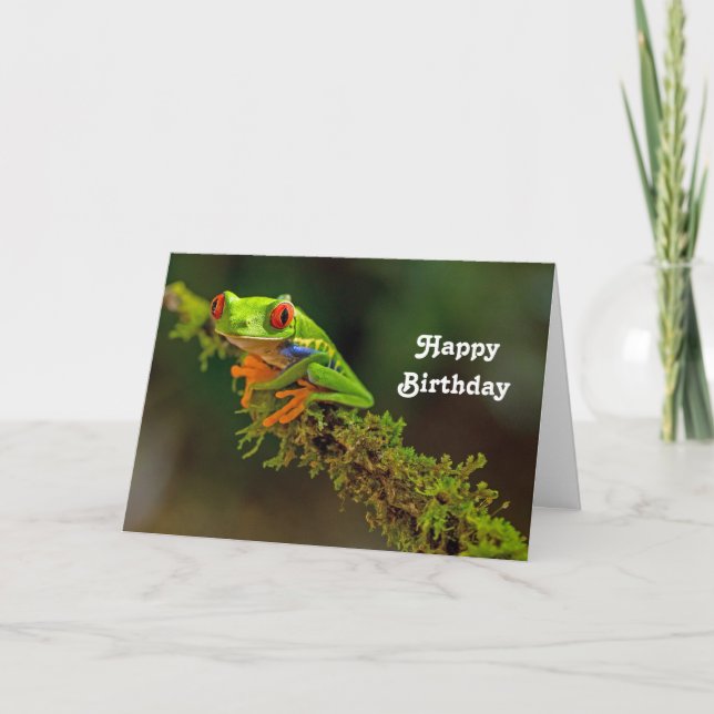 Red Eyed Tree Frog Photo Birthday Card (Front)