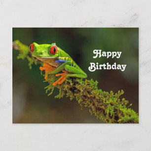 Red Eyed Tree Frog Photo Birthday Postcard