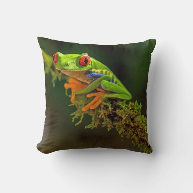 Red Eyed Tree Frog Photo Cushion (Front)