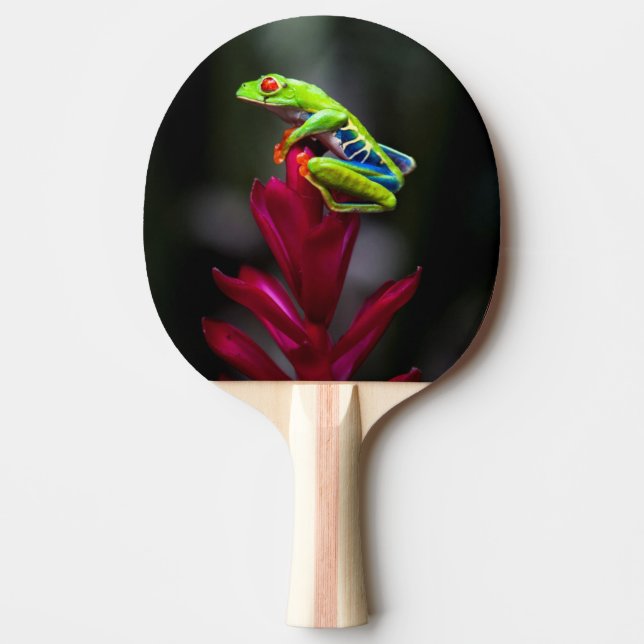 Red-eyed Tree Frog Ping Pong Paddle (Front)