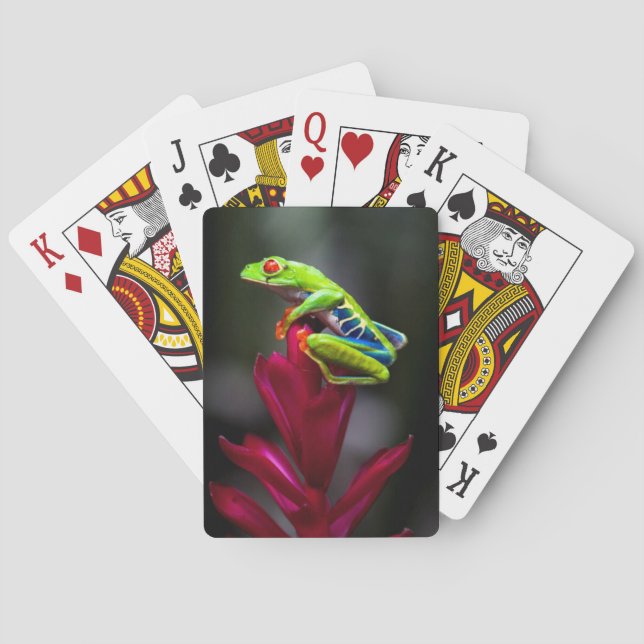 Red-eyed Tree Frog Playing Cards (Back)