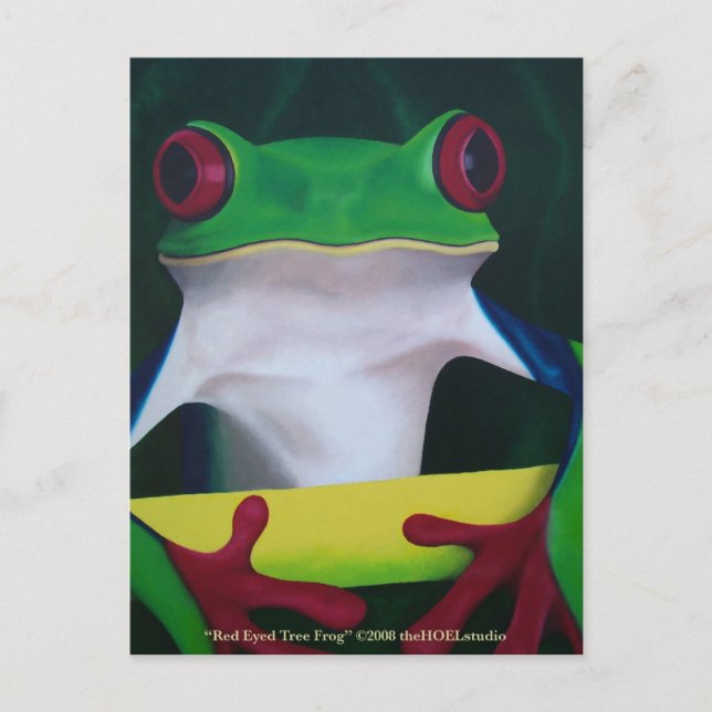 Red Eyed Tree Frog Postcard (Front)