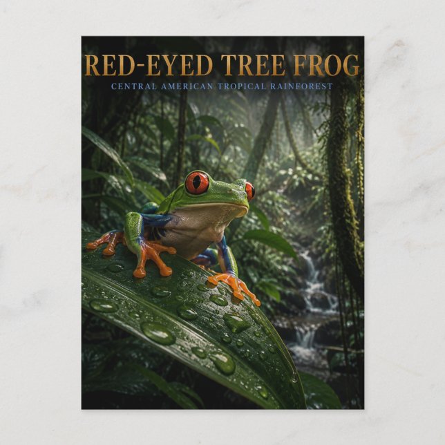 Red-Eyed Tree Frog Rainforest ANIMALS Postcard (Front)