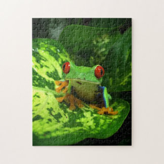Red Eyed Tree Frog Rainforest Jungle Jigsaw Puzzle
