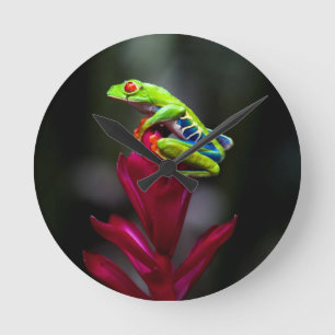 Red-eyed Tree Frog Round Clock