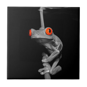 Red Eyed Tree Frog Tile
