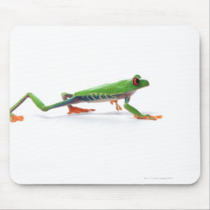 Red eyed tree frog walking mouse mat