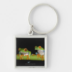 Red-eyed Tree Frogs (Agalychnis callidryas) Key Ring