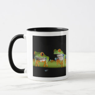 Red-eyed Tree Frogs (Agalychnis callidryas) Mug