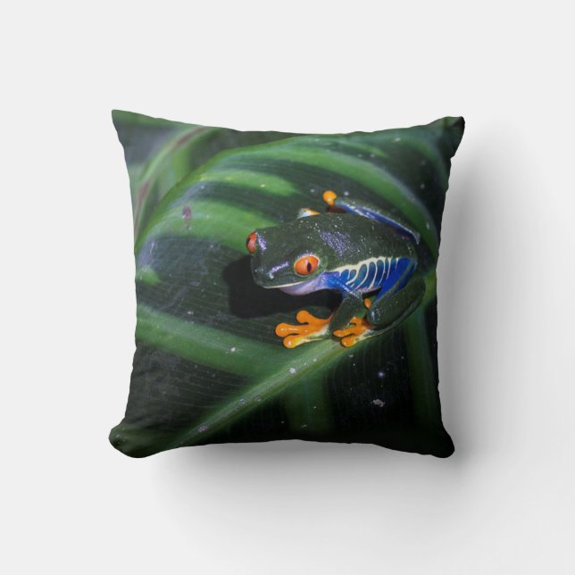 Red Eyes Frog On Leaf Cushion (Front)