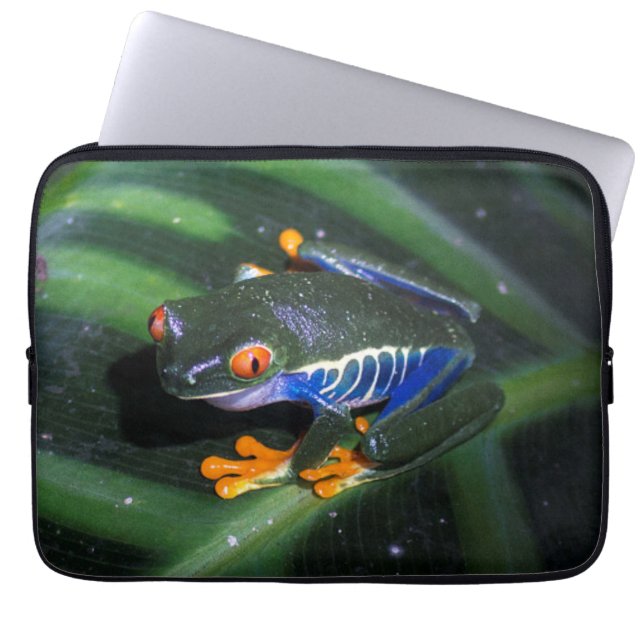 Red Eyes Frog On Leaf Laptop Sleeve (Front)