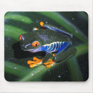 Red Eyes Frog On Leaf Mouse Mat