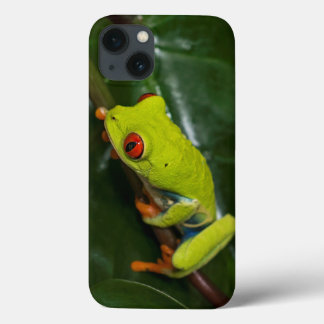 Red Eyes Frog On Stem iPhone 13 Case