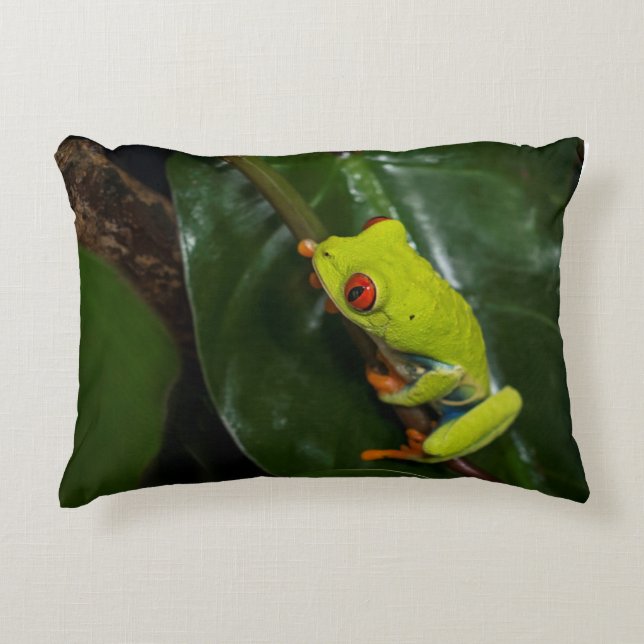 Red Eyes Frog On Stem Decorative Cushion (Front)