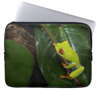 Red Eyes Frog On Stem Laptop Sleeve