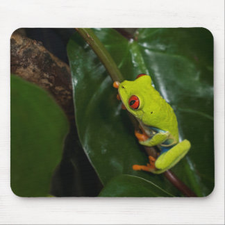 Red Eyes Frog On Stem Mouse Mat