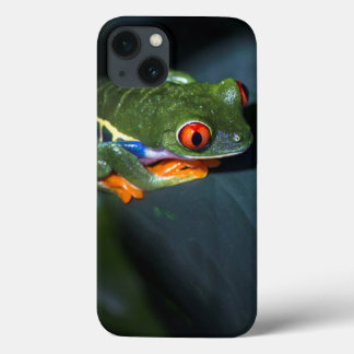 Red Eyes Frog Sitting iPhone 13 Case
