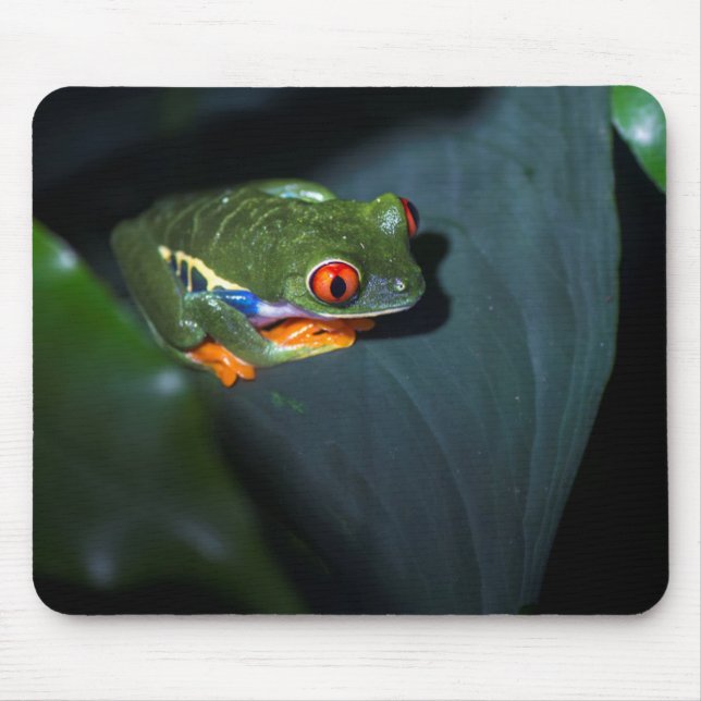 Red Eyes Frog Sitting Mouse Mat (Front)