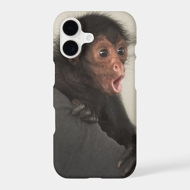 Red-faced Spider Monkey Ateles paniscus) (Back)