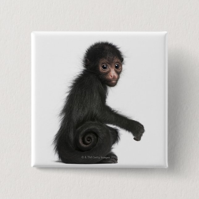 Red-faced Spider Monkey - Ateles paniscus (3 15 Cm Square Badge (Front)