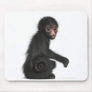 Red-faced Spider Monkey - Ateles paniscus (3 Mouse Mat