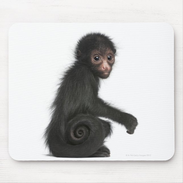 Red-faced Spider Monkey - Ateles paniscus (3 Mouse Mat (Front)
