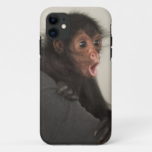 Red-faced Spider Monkey Ateles paniscus) iPhone 11 Case