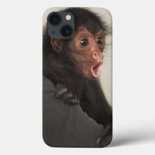 Red-faced Spider Monkey Ateles paniscus) iPhone 13 Case